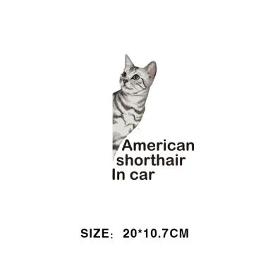 Cat Car Sticker
