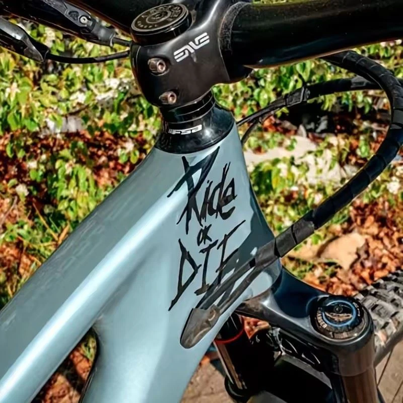 RIDE OR DIE VINYL STICKER
