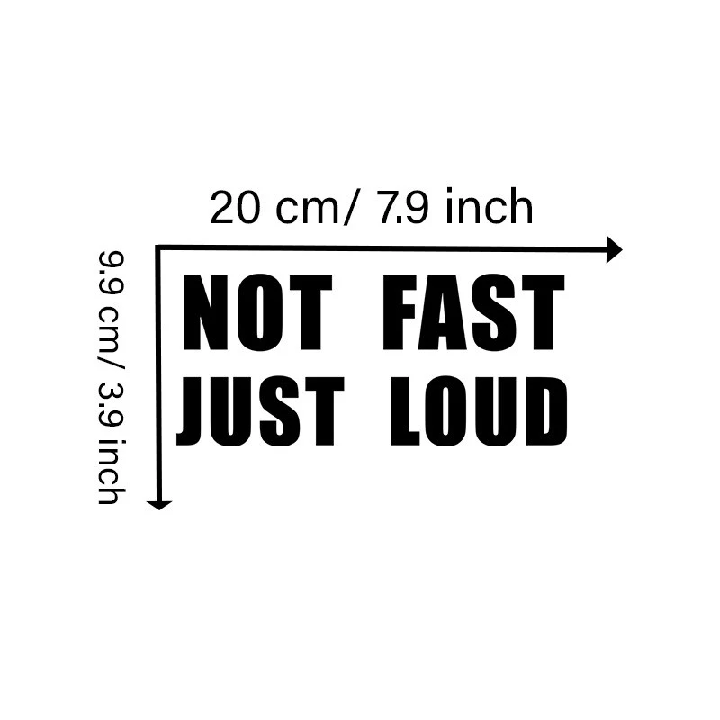 Funny Vinyl Sticker Not Fast Just Loud
