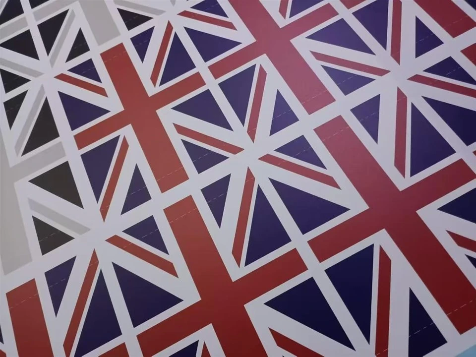 Vinyl Die Cut Waterproof Sticker For Car