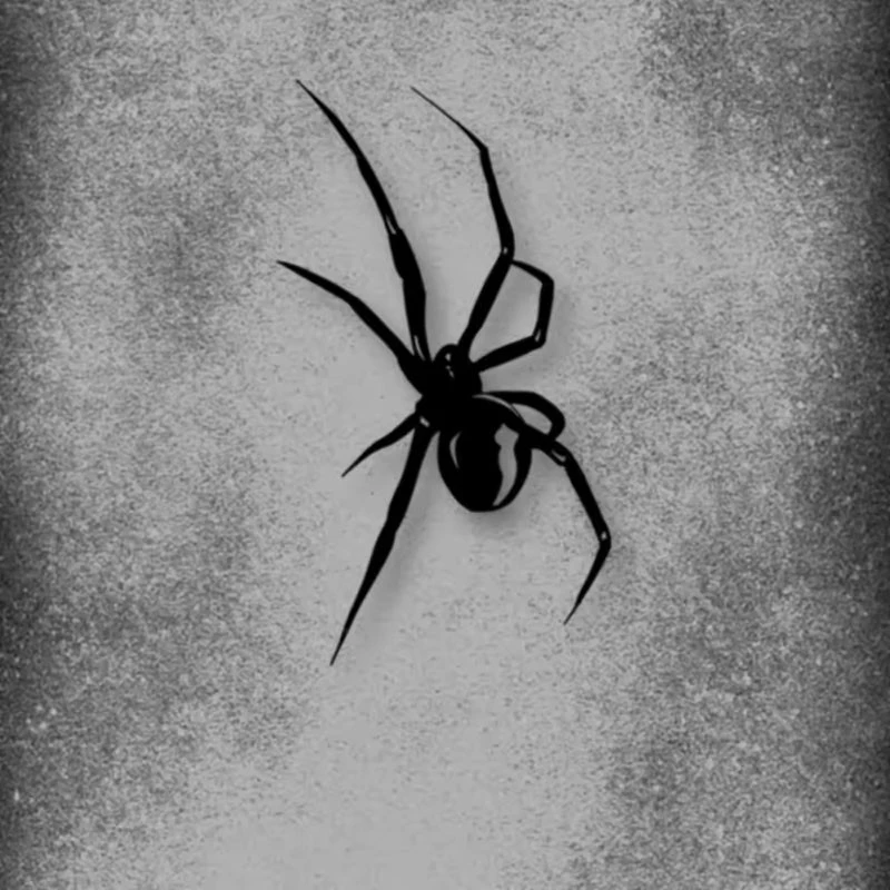 Spider Pattern Sticker For Car