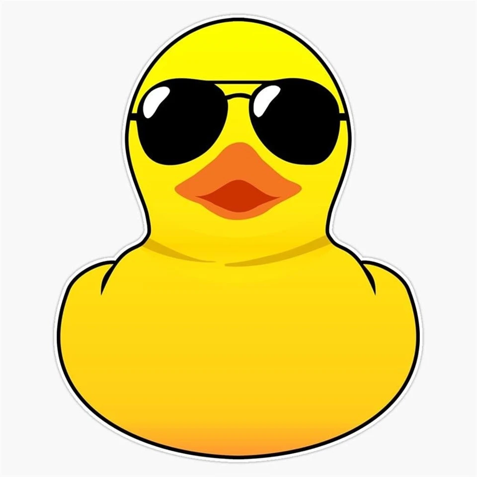 Duck Wave Decal Selection