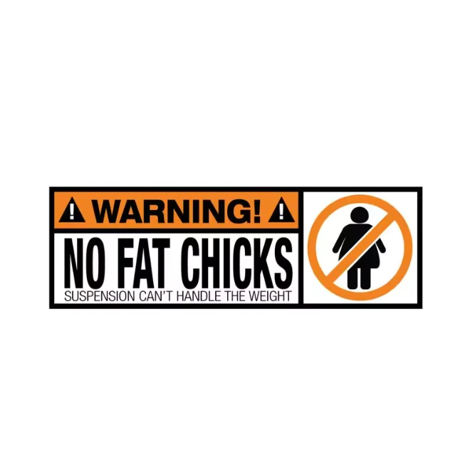 Funny No Fat Chicks Car Sticker