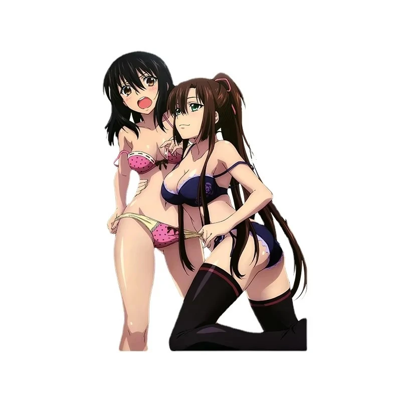 Anime Sexy Pinup Girl Car Accessories