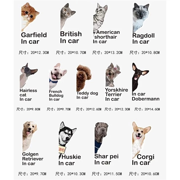 Cute Animal car Sticker
