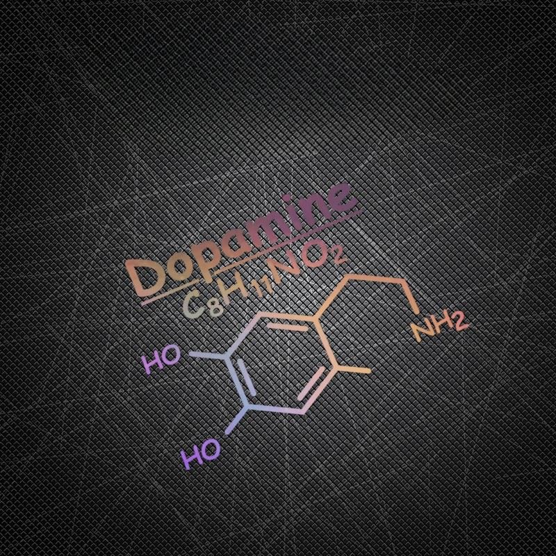 Motorcycle Stickers Dopamine C8H11NO2 Decals factory