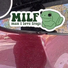 I Love Frogs Funny Car Stickers