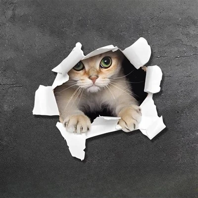 3D Animal CAR STICKER Cartoon For Car