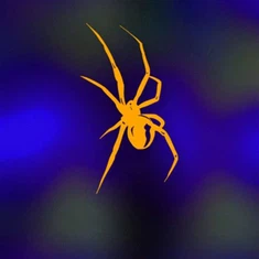 Colored Spider Motorcycle Stickers