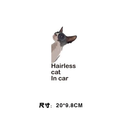Cat Sticker