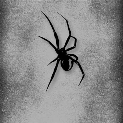 Spider Pattern Sticker For Car