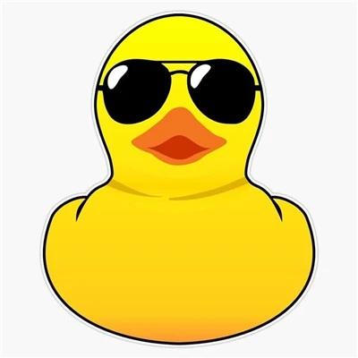 Duck Wave Decal Selection