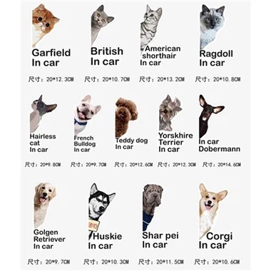 Cute Animal car Sticker