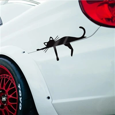 Funny Cat Stickers Vinyl Decal Decoration